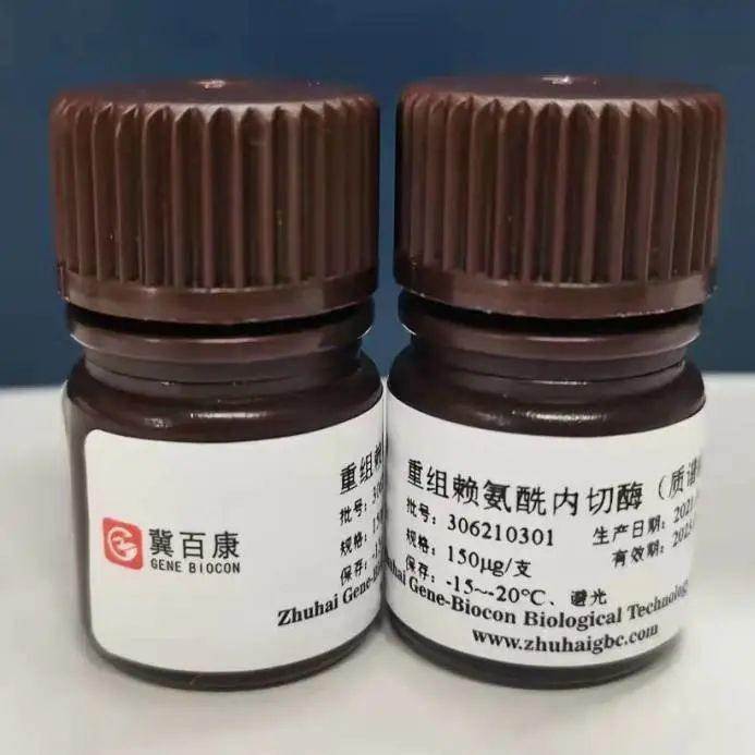 微信圖片_20240910103935 微信圖片_20240910103935