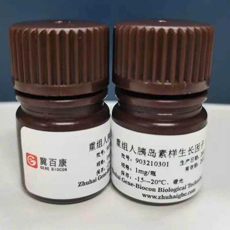 微信圖片_20240910103942 微信圖片_20240910103942