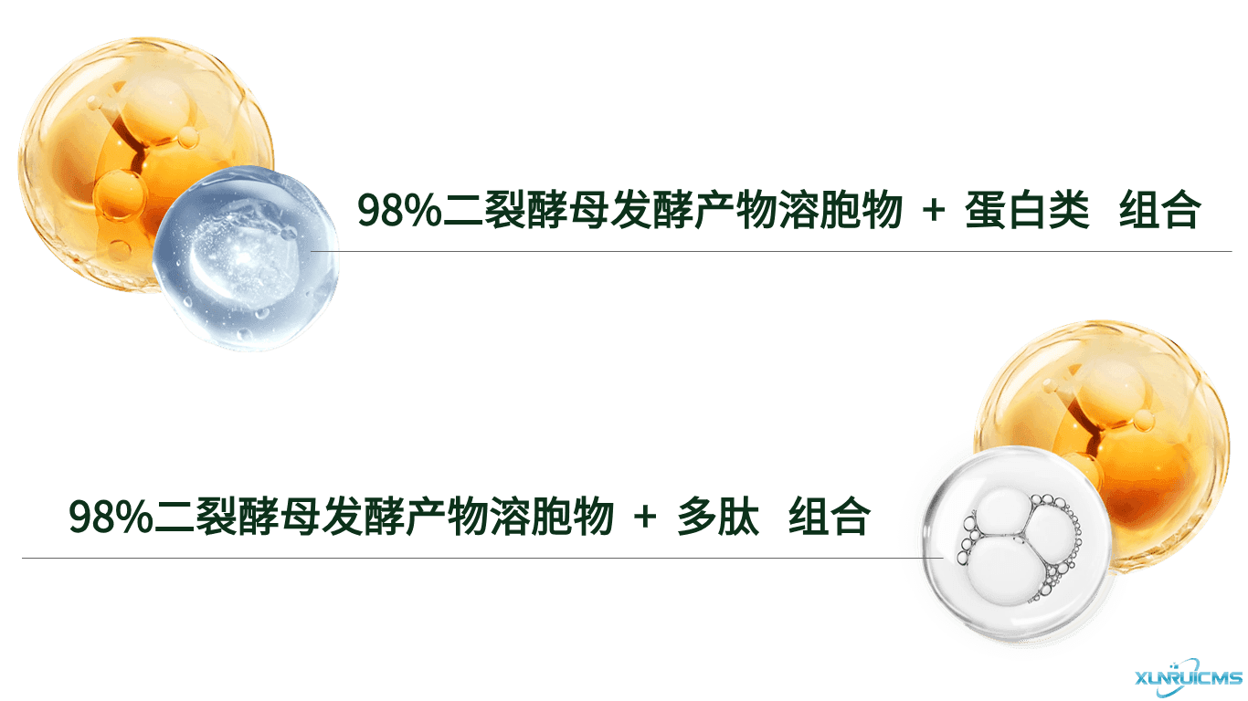 微信圖片_20241017153348 微信圖片_20241017153348