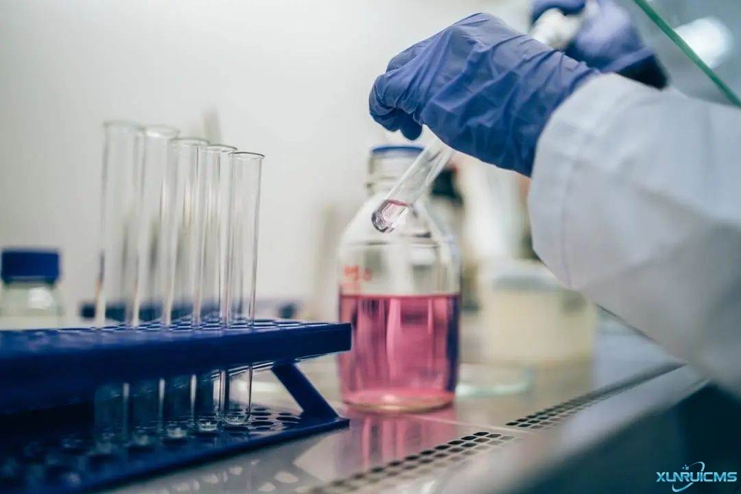 微信圖片_20241022155501 微信圖片_20241022155501