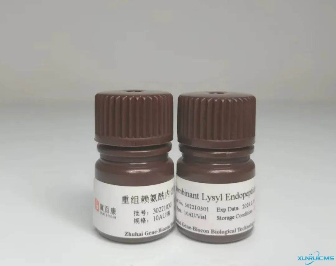 微信圖片_20241023154923 微信圖片_20241023154923