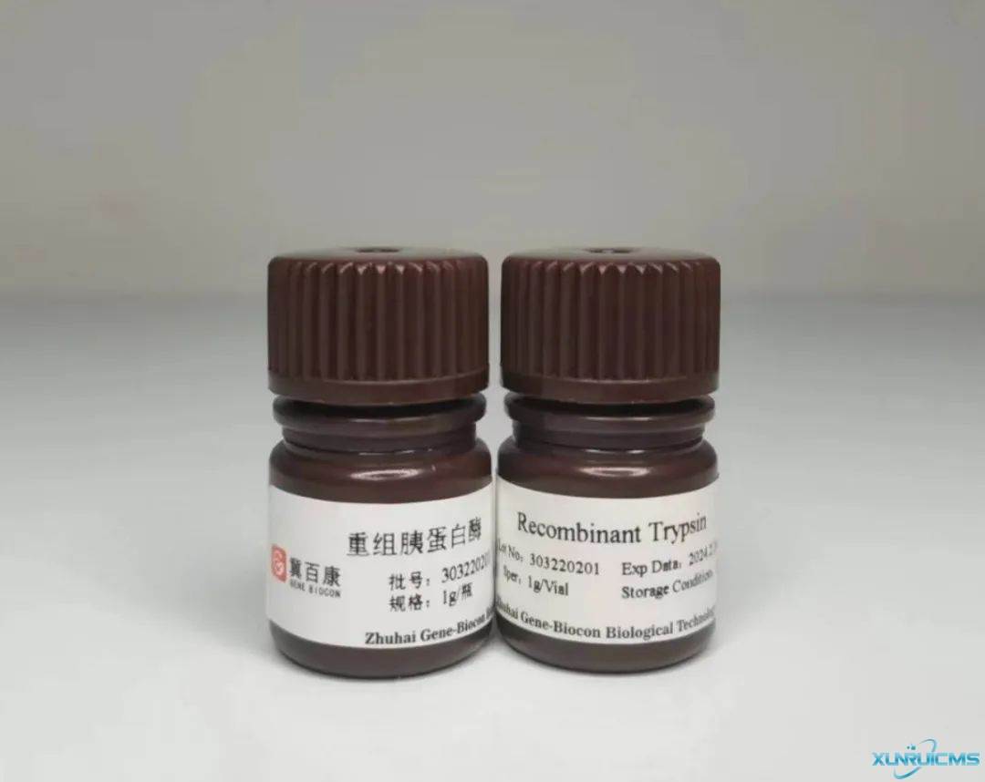 微信圖片_20241023154920 微信圖片_20241023154920