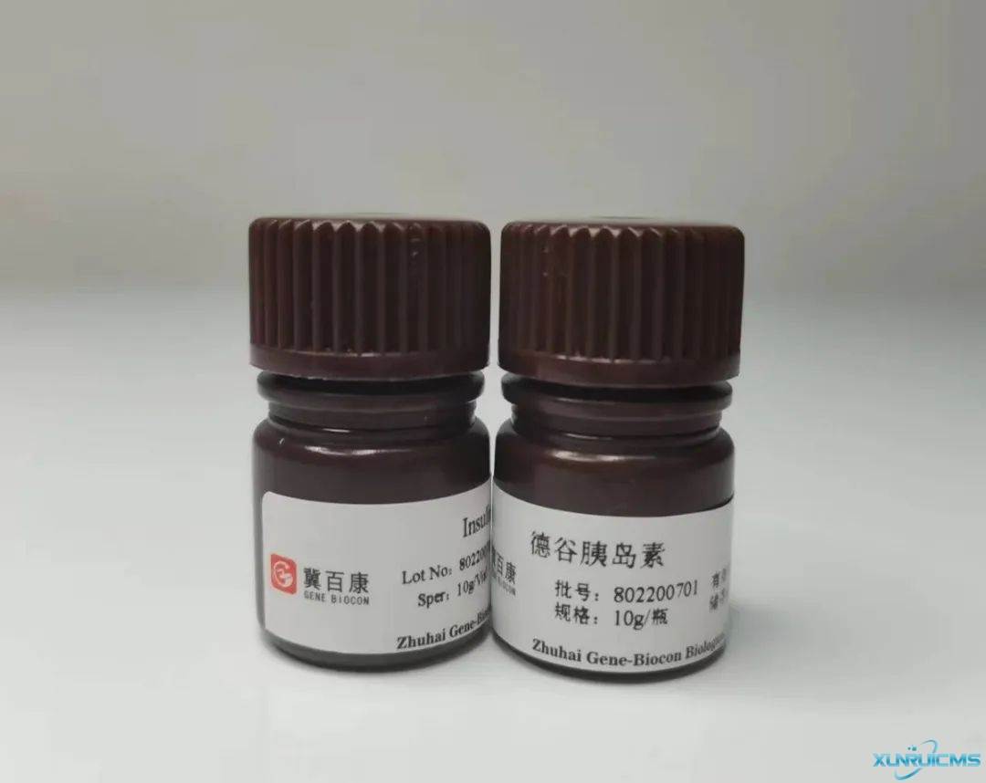 微信圖片_20241023154907 微信圖片_20241023154907