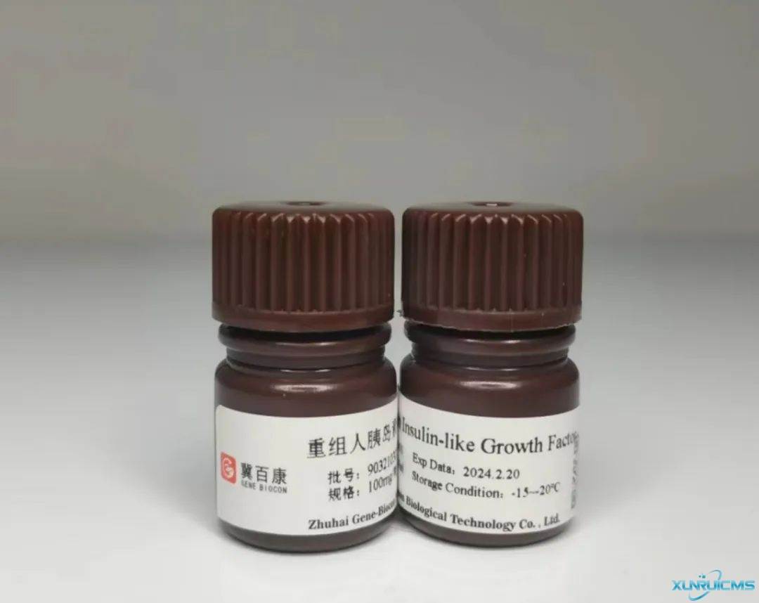 微信圖片_20241023154933 微信圖片_20241023154933