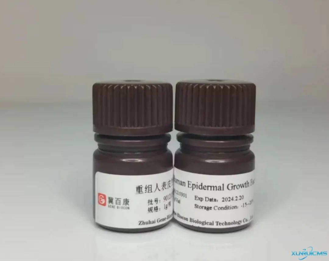 微信圖片_20241023154929 微信圖片_20241023154929