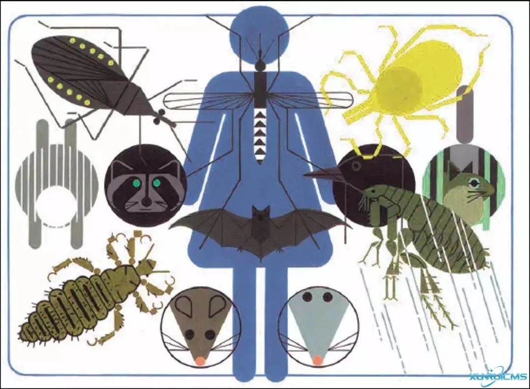 微信圖片_20241024101928 微信圖片_20241024101928