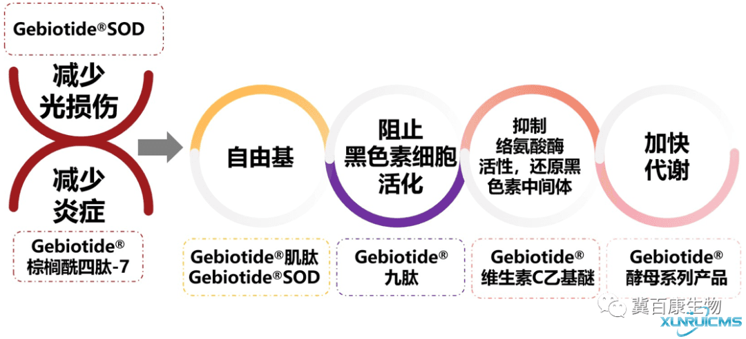 微信圖片_20241024135513 微信圖片_20241024135513