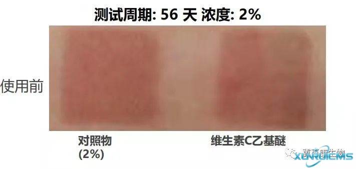 微信圖片_20241024135520 微信圖片_20241024135520