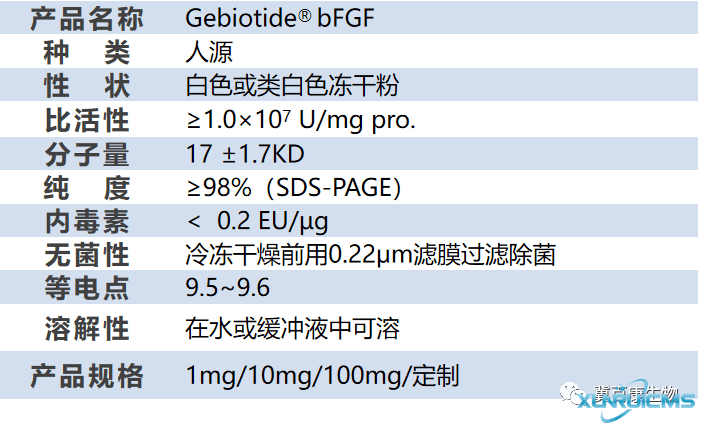 微信圖片_20241024140753 微信圖片_20241024140753