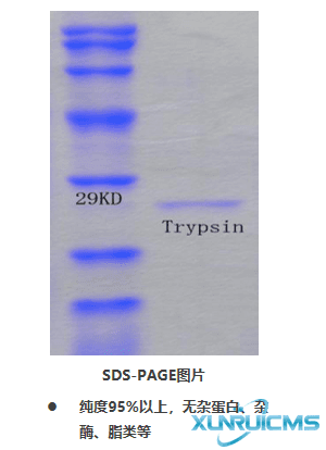 微信圖片_20241024145234