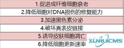 微信圖片_20241024153226 微信圖片_20241024153226