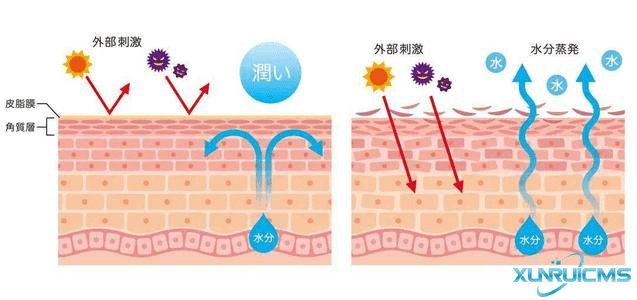 微信圖片_20241024163833 微信圖片_20241024163833