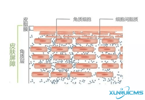 微信圖片_20241024173100 微信圖片_20241024173100