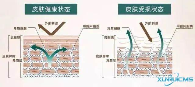 微信圖片_20241024173121 微信圖片_20241024173121