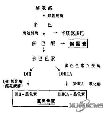 微信圖片_20241029084340 微信圖片_20241029084340