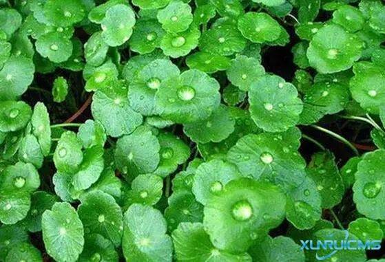 微信圖片_20241029091434 微信圖片_20241029091434