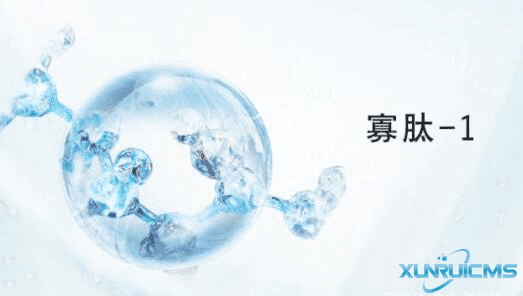 微信圖片_20241029094509 微信圖片_20241029094509