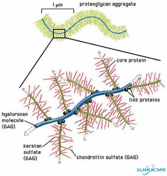 微信圖片_20241029105204 微信圖片_20241029105204