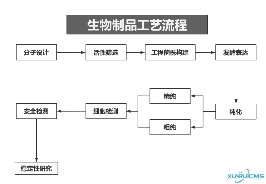 微信圖片_20241030101509 微信圖片_20241030101509