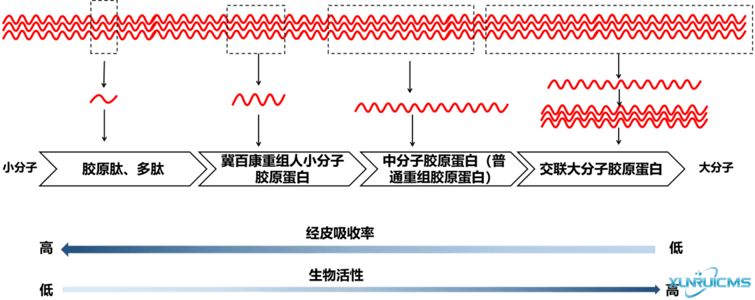 微信圖片_20241030134610